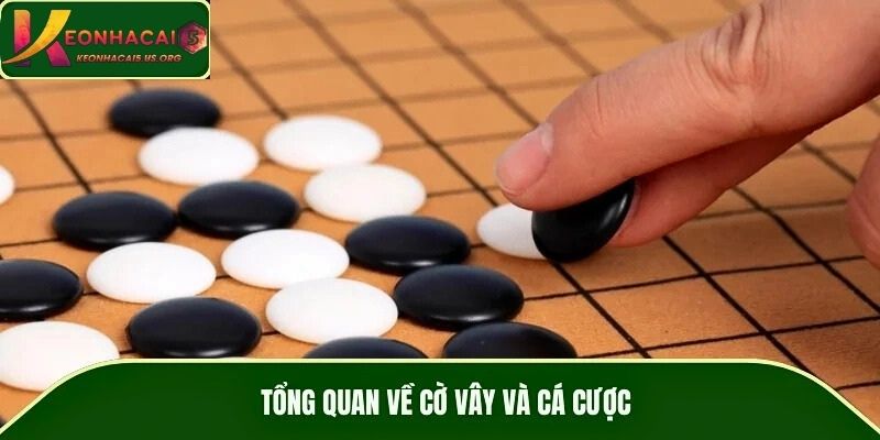 Tổng quan về cờ vây và cá cược