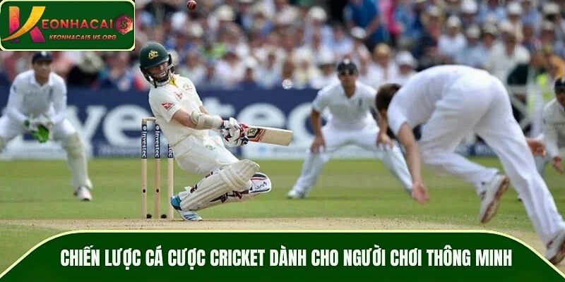 Chiến lược cá cược cricket dành cho người chơi thông minh